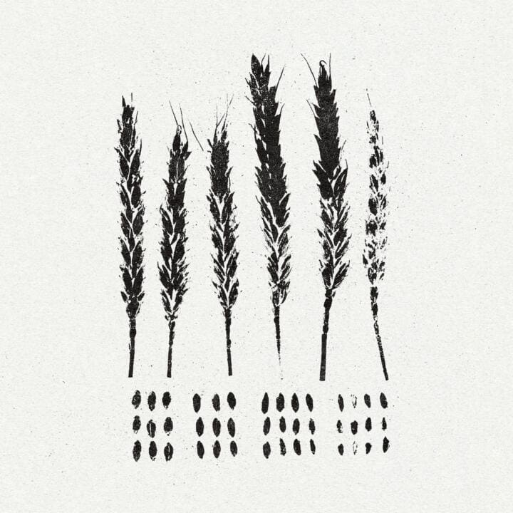 ALBUM REVIEW: Lo! –  ‘The Gleaners’