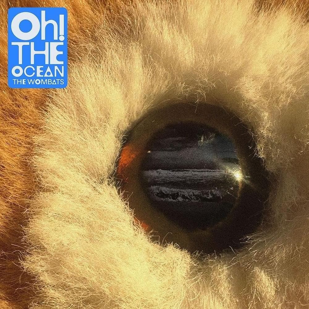 ALBUM REVIEW: The Wombats – ‘Oh! The Ocean’
